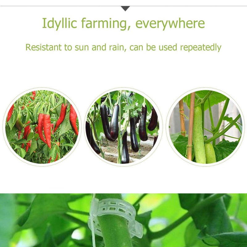 Acronde 200PCS Plant Support Clips, Tomato Crop Vine Fixing Clips for Fixation of Tomato, Sweet Pepper, Eggplant, and Fruit Vegetables - Image 5
